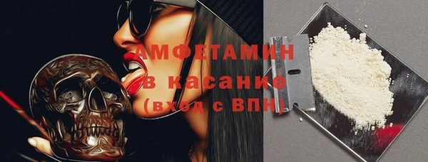 крисы Бронницы