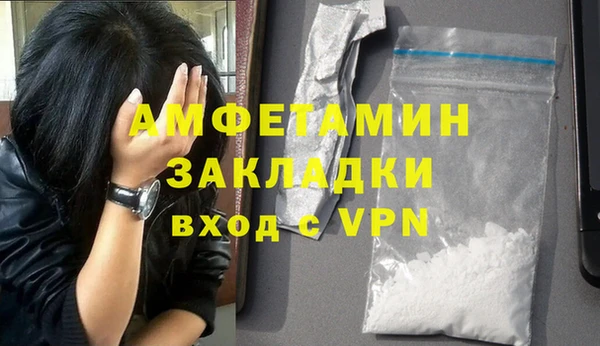 крисы Бронницы