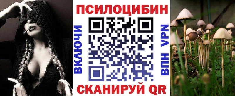 Псилоцибиновые грибы прущие грибы  Артём 